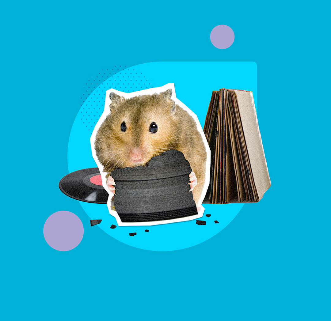 Collage d'un hamster qui gruge un objet sur fond bleu
